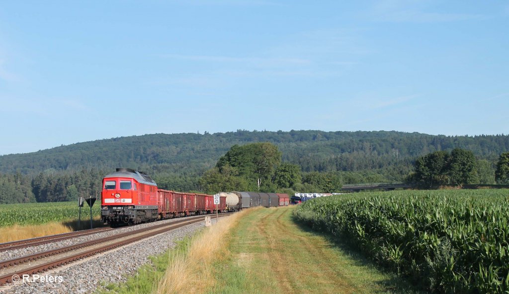 233 452-2 mit dem 51683 Zwickau - Nrnberg bei Oberteich. 01.08.13