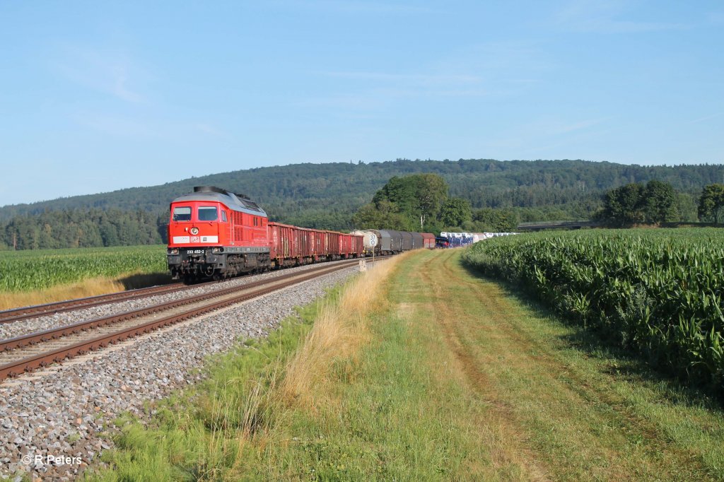 233 452-2 mit dem 51683 Zwickau - Nrnberg bei Oberteich. 01.08.13