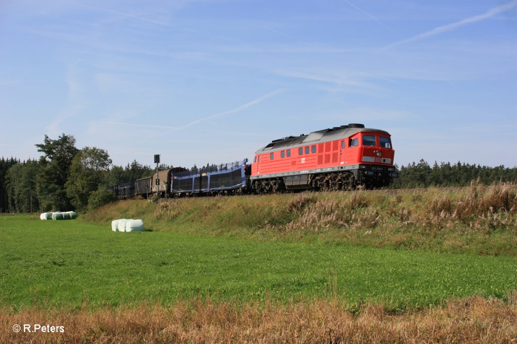 233 478-7 mit dem 45363 bei Waldershof mit viele CD-Cargo Wagen. 