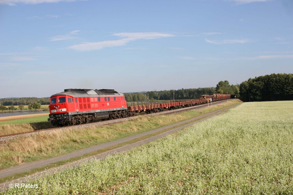 233 478-7 mit dem Umgeleiteten 45365 bei Oberteich. 14.09.12