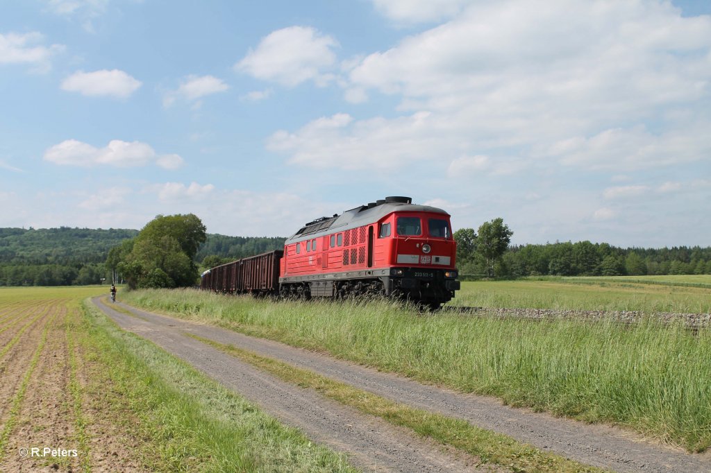 233 511-5 mit dem 49350 Schrottzug Cheb - Nrnberg bei Oberteich. 13.06.13