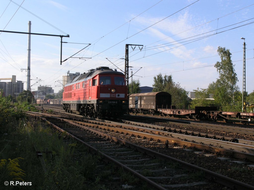 233 709-5 kommt solo wieder zurck in Regensburg Ost eingefahren. 27.08.09