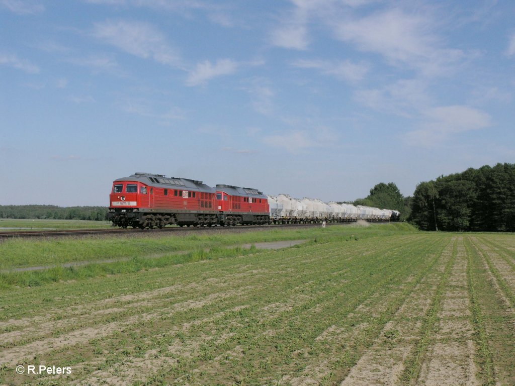 318 und 315 mit Zementzug bei Oberteich am 5.06.10