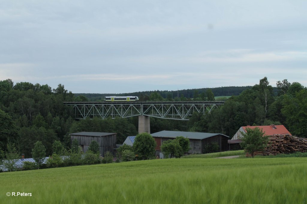 Agilis nach Hof bei Unterthlau. 14.06.13