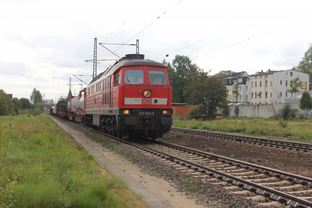 DB 233 622-0 in Hamburg Unterelbe am 16.09.2011