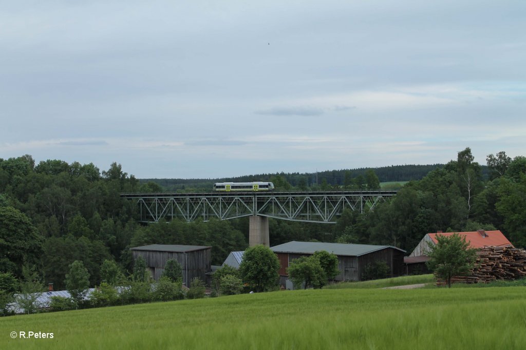 Eine Agilis aus Hof bei Unterthlau. 14.06.13