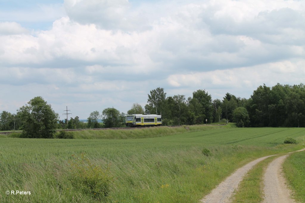 Eine Agils nach Hof bei Unterthlau. 15.06.13