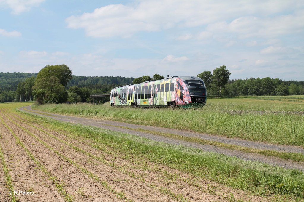 Nachschuss von VT04 als VBG81123 Schwandorf - Marktredwitz bei Oberteich. 13.06.13