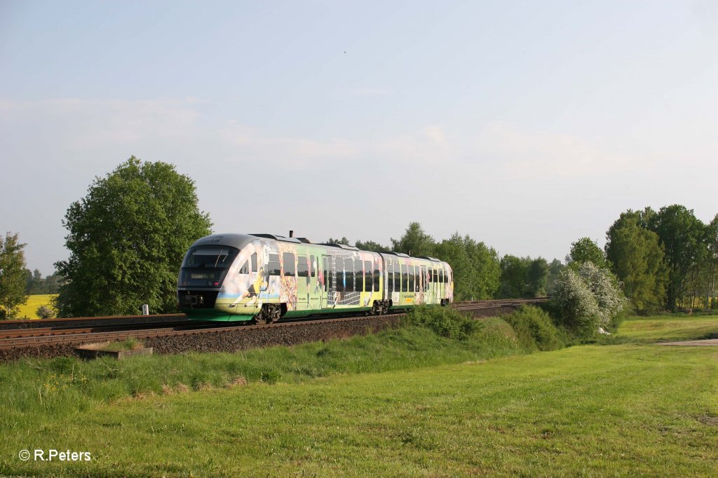 Nachschuss von VT04 als VBG81131 Hof - Regensburg bei Schnfeld. 22.05.12