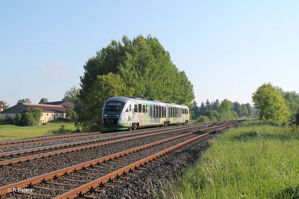 VT04 als VBG81109 Marktredwitz - Schwandorf bei Schnfeld. 05.06.13