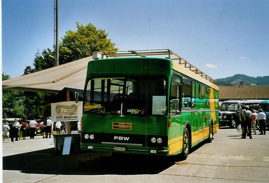 (086'532) - Rllin, Hirzel - ZH 31'371 U - FBW (ex ABM Meinisberg) am 18. Juni 2006 in Hinwil, AMP