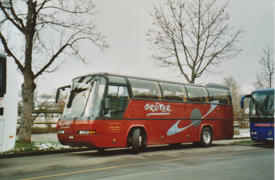 (112'229) - Grter, Hochdorf - Nr. 4/LU 176'155 - Neoplan am 28. November 2008 in Bern, Guisanplatz