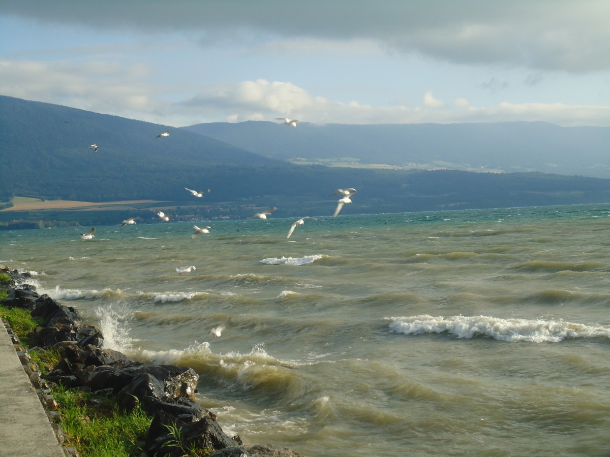 (140'761) - Strmischer Neuenburgersee am 22. Juli 2012 mit Mwen