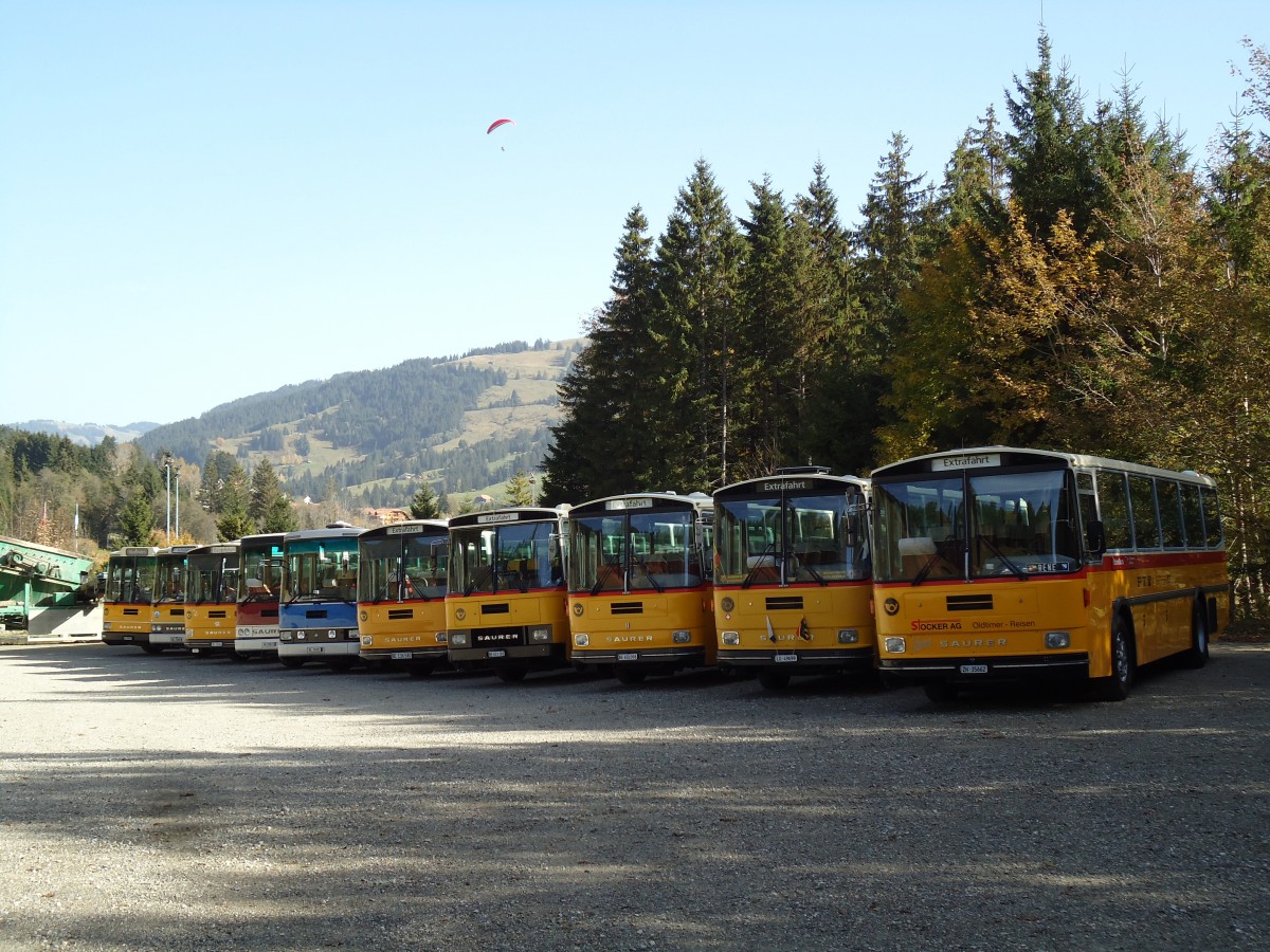 (142'041) - Stocker, Ottikon - ZH 35'662 - Saurer/R&J (ex Eberle, Wittenbach; ex Richter, Ossingen; ex P 25'350) am 21. Oktober 2012 in Schwarzsee, Schwyberg