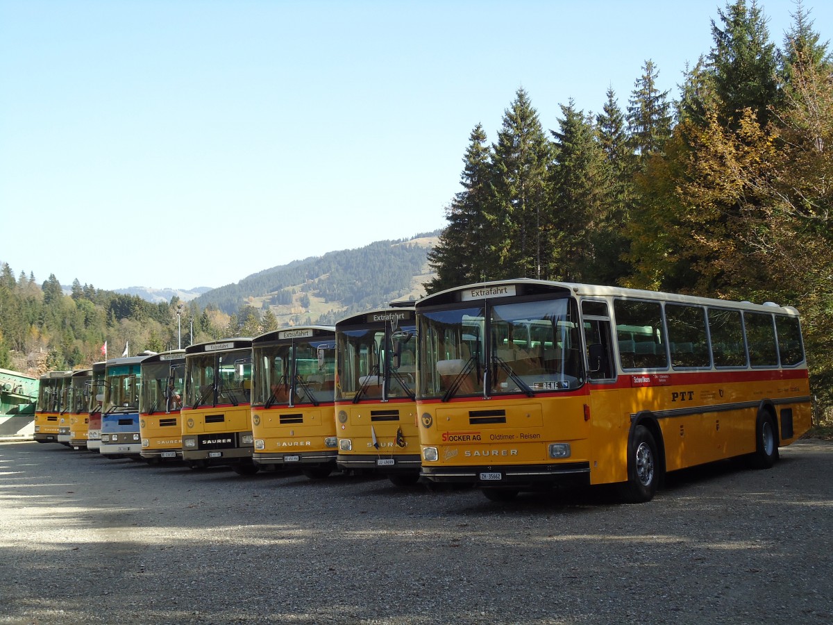 (142'042) - Stocker, Ottikon - ZH 35'662 - Saurer/R&J (ex Eberle, Wittenbach; ex Richter, Ossingen; ex P 25'350) am 21. Oktober 2012 in Schwarzsee, Schwyberg