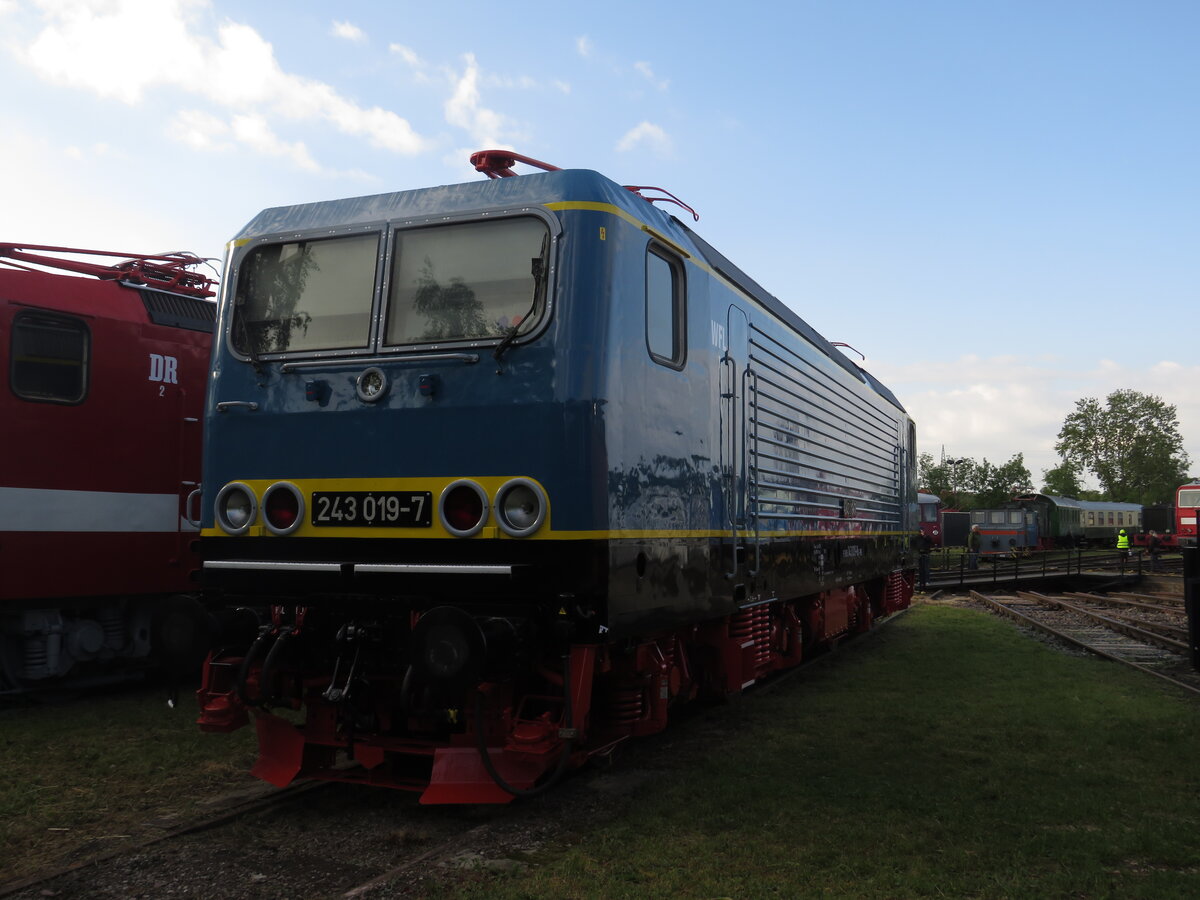143 019-7 (243 019-7) von WFL beim 30. Weimarer Eisenbahnfest am 24.5.2025