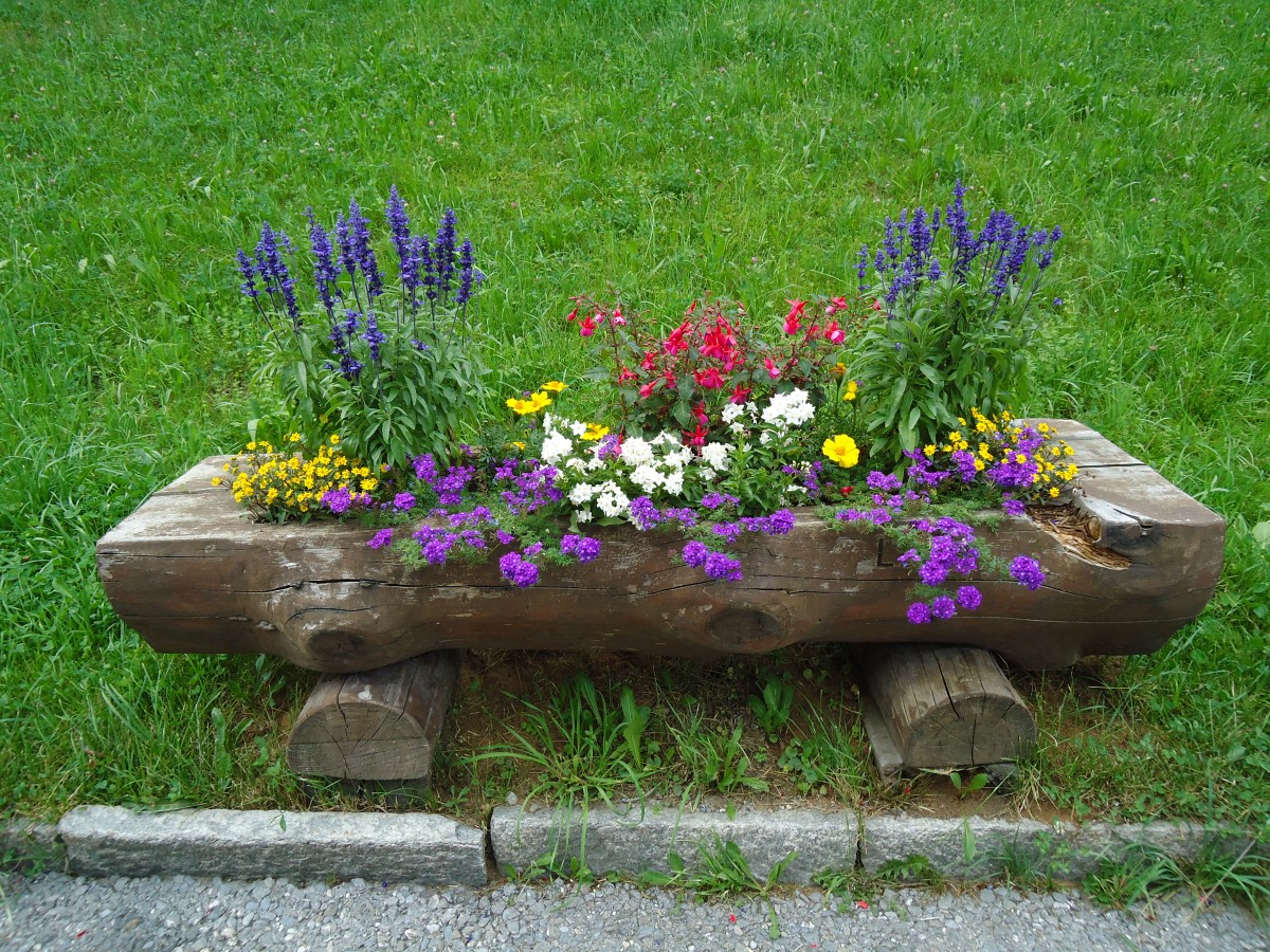 (146'142) - Blumentrgli an der Lenk am 28. Juli 2013