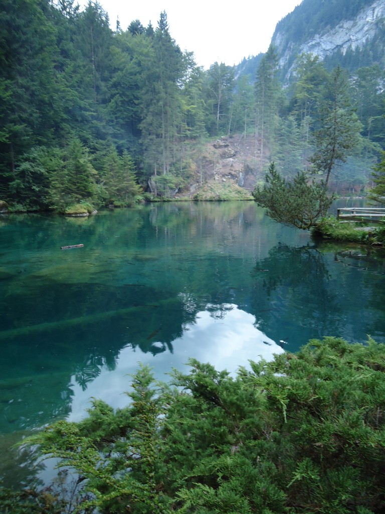(146'188) - Der Blausee am 3. August 2013