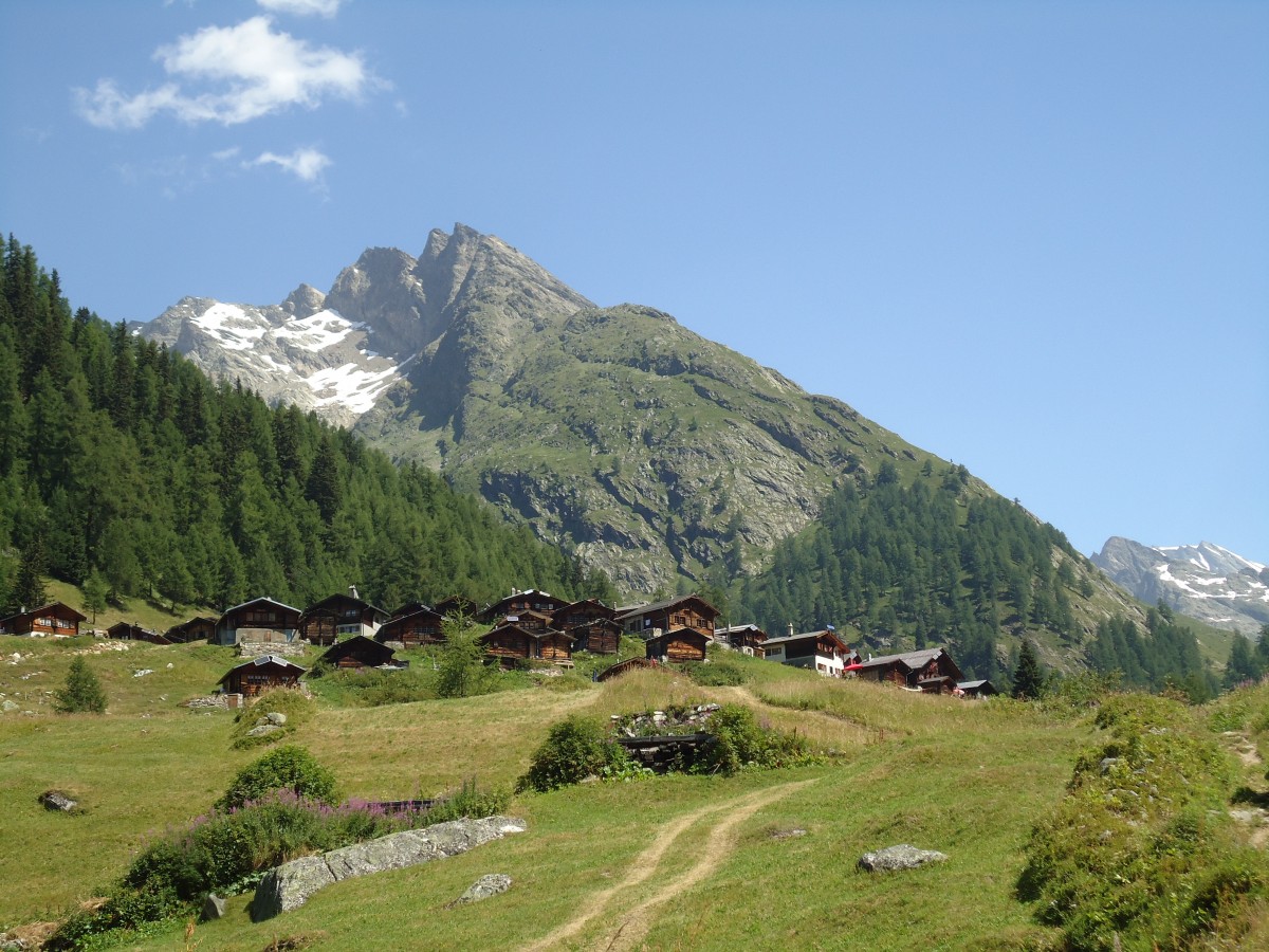 (146'240) - Chalets bei Blatten im Ltschental am 5. August 2013