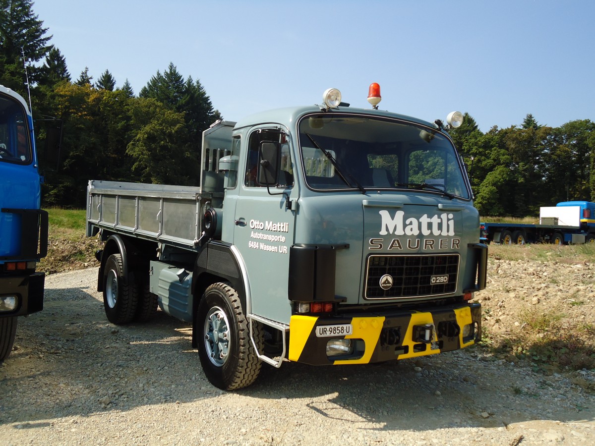(146'641) - Mattli, Wassen - UR 9858 U - Saurer am 31. August 2013 in Niederbipp, Saurertreffen