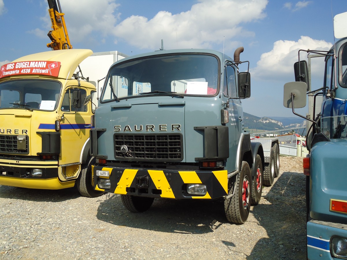 (146'662) - Bhlmann, Riggisberg - BE 4499 U - Saurer am 31. August 2013 in Niederbipp, Saurertreffen