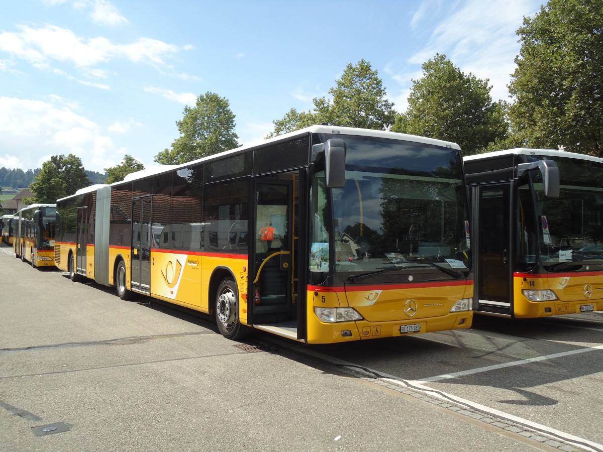 (146'906) - Steiner, Ortschwaben - Nr. 5/BE 175'180 - Mercedes am 1. September 2013 in Burgdorf, Markthalle