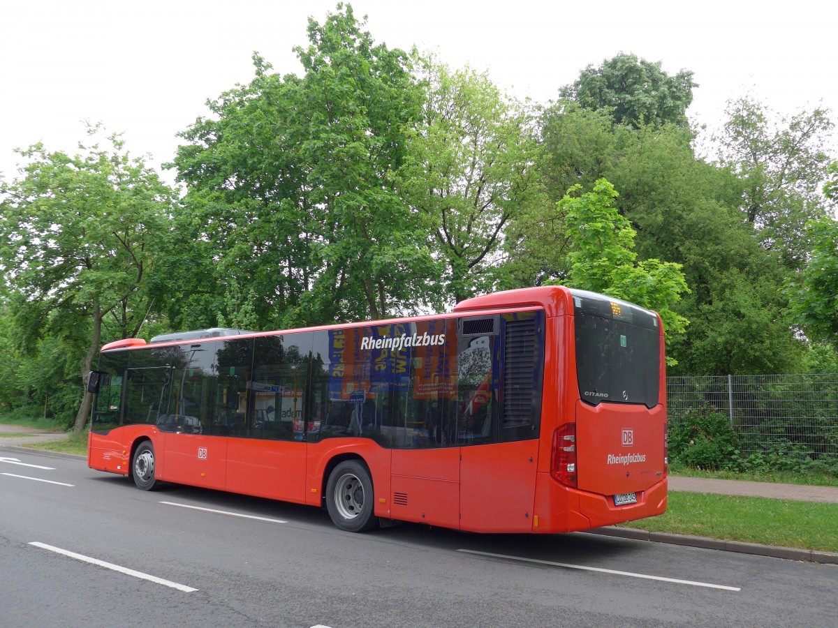 (150'138) - Rheinpfalzbus, Ludwigshafen - LU-DB 245 - Mercedes am 26. April 2014 in Speyer, Technik-Museum