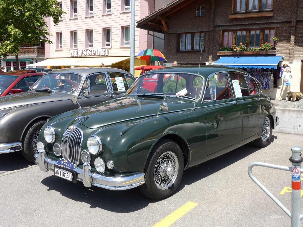 (151'360) - Jaguar - AG 11'813 U - am 8. Juni 2014 in Brienz, OiO
