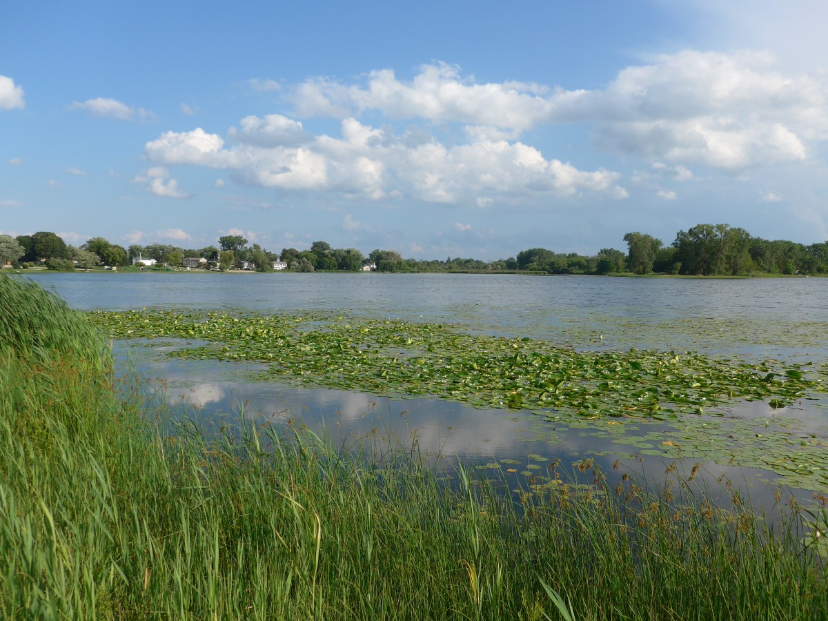(152'691) - Seerosen im Lily Lake am 13. Juli 2014