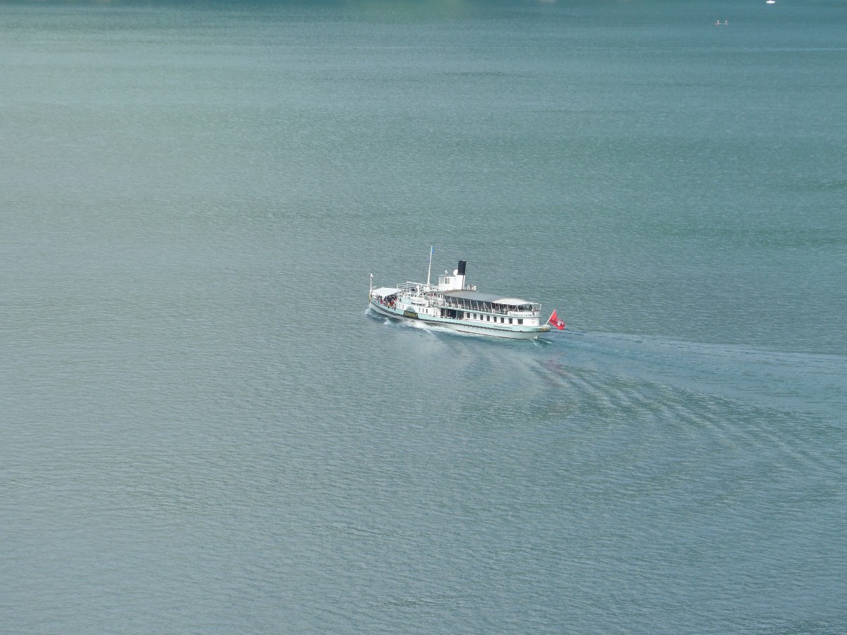 (154'430) - Dampfschiff Blmlisalp am 24. August 2014 auf dem Thunersee vom Spiezberg aus