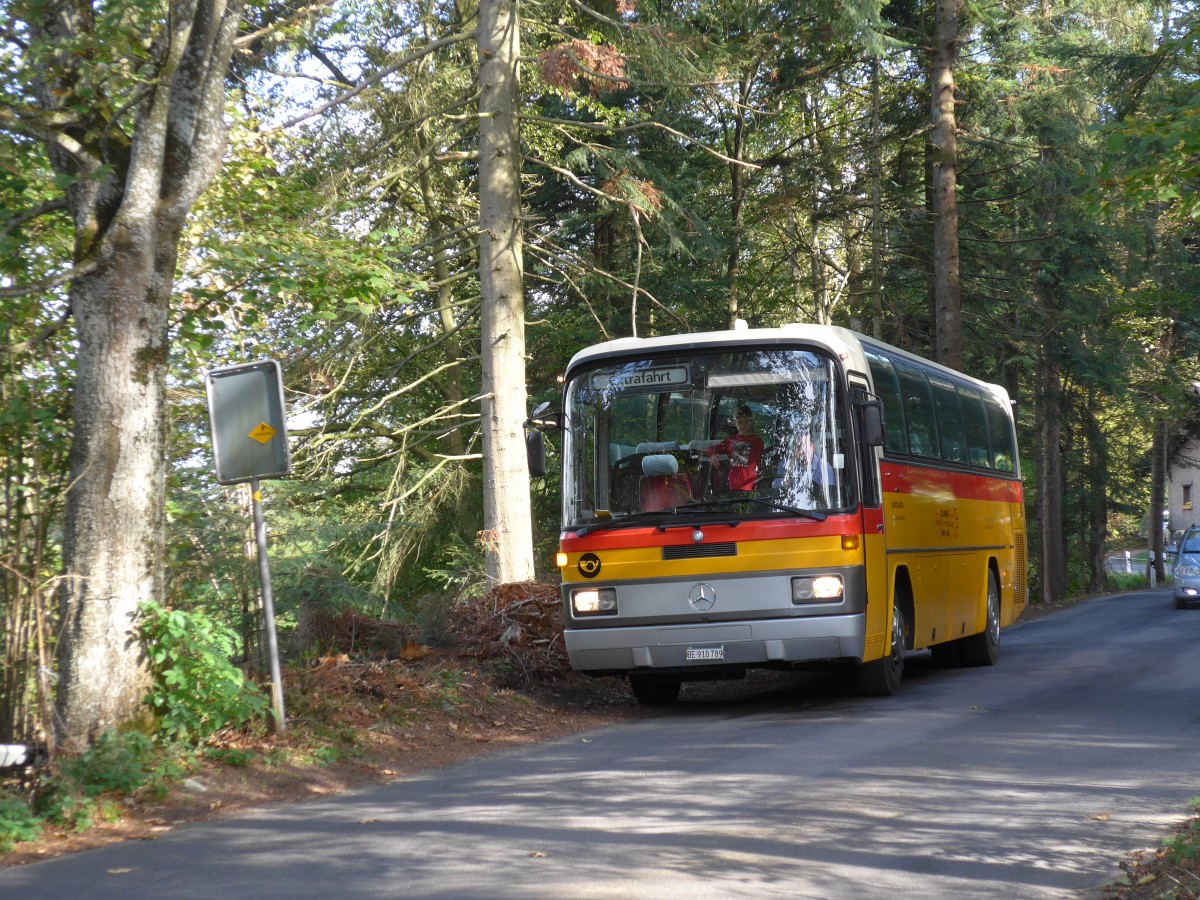 (155'543) - Buzzi, Bern - BE 910'789 - Mercedes (ex Mattli, Wassen) am 5. Oktober 2014 in Kaltacker, Lueg