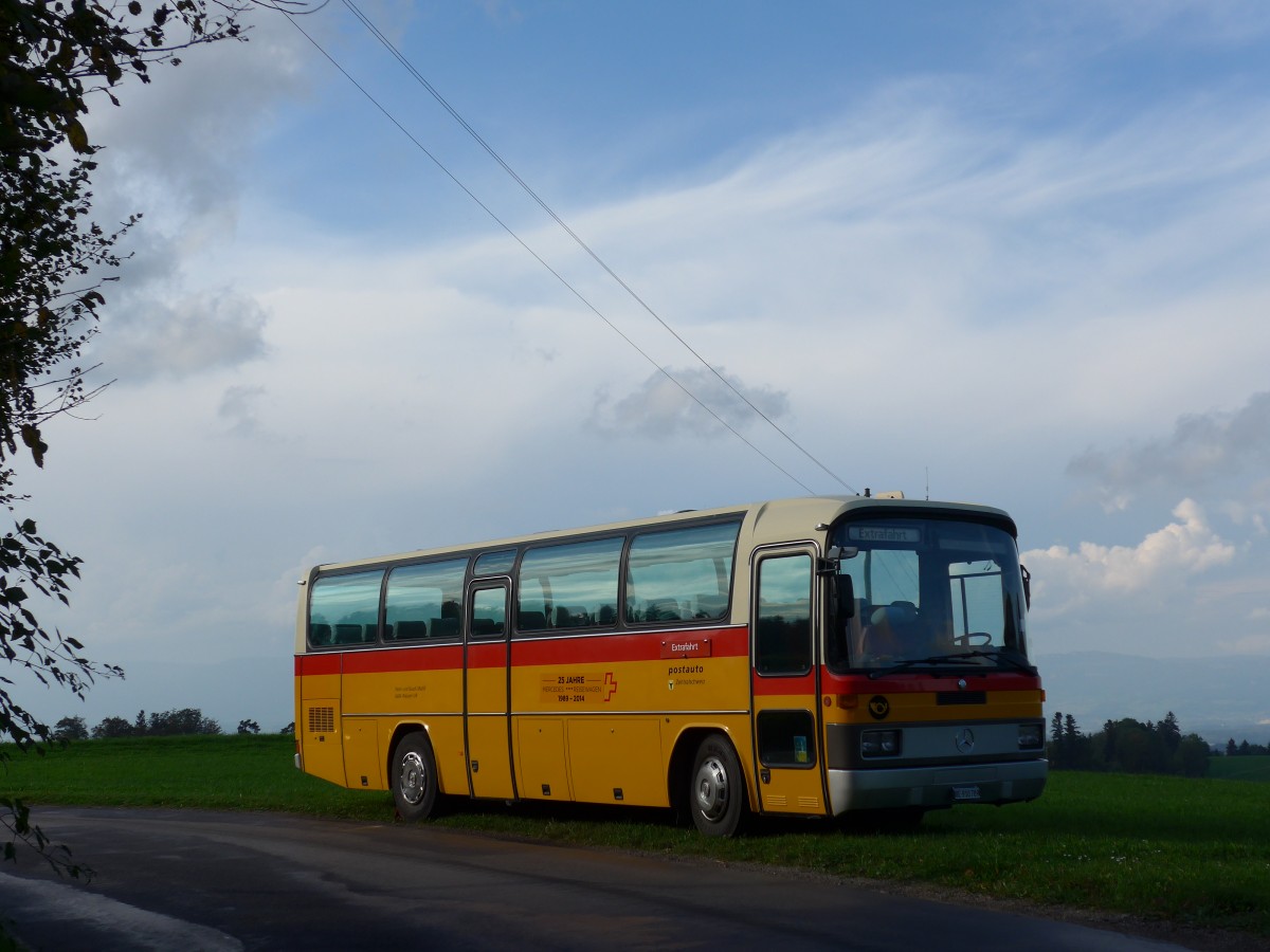 (155'548) - Buzzi, Bern - BE 910'789 - Mercedes (ex Mattli, Wassen) am 5. Oktober 2014 in Kaltacker, Lueg