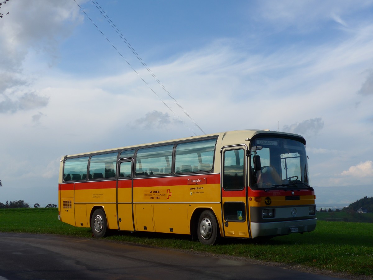 (155'550) - Buzzi, Bern - BE 910'789 - Mercedes (ex Mattli, Wassen) am 5. Oktober 2014 in Kaltacker, Lueg