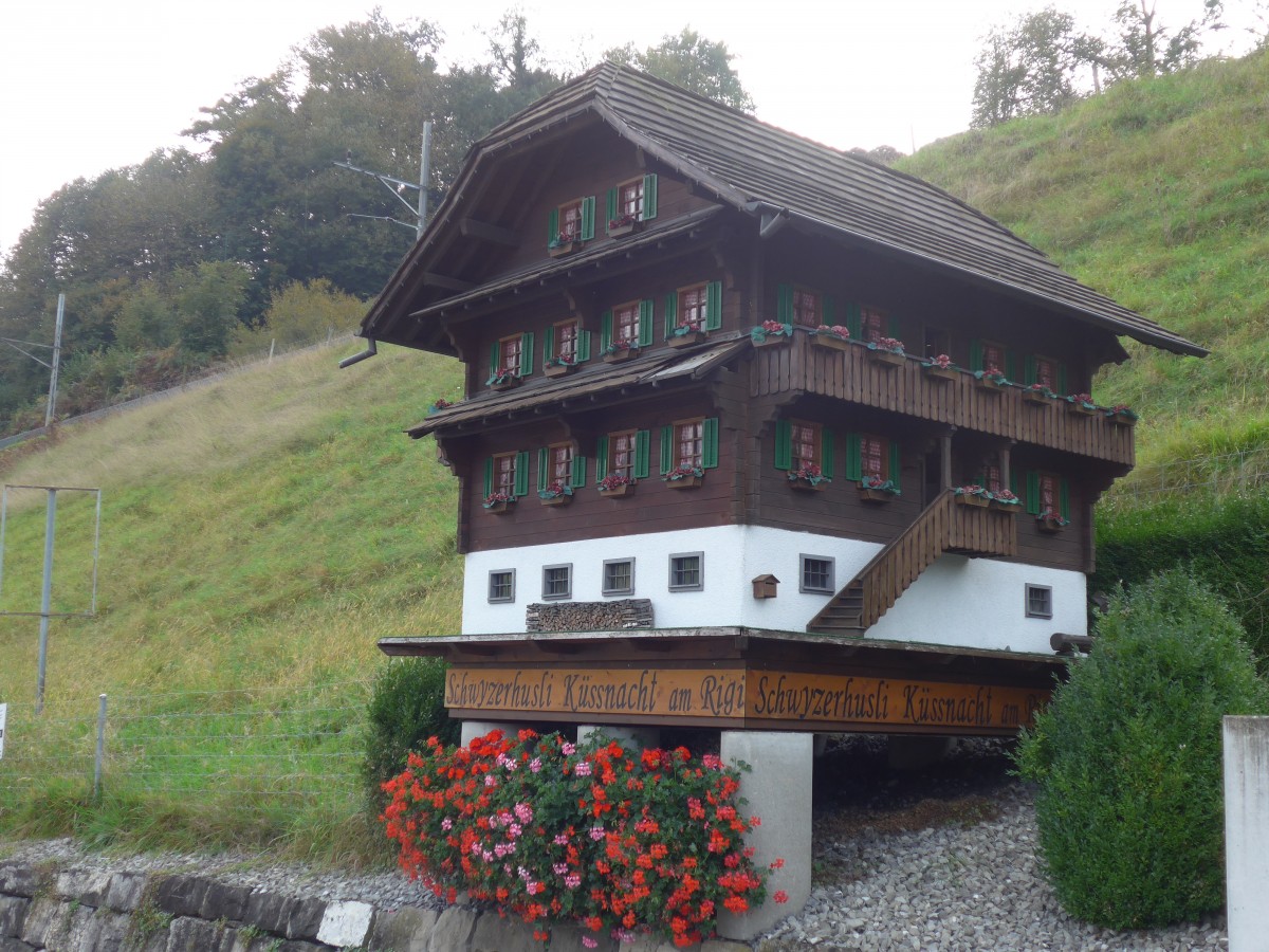 (155'690) - Schwyzerhsli am 12. Oktober 2014 in Kssnacht am Rigi