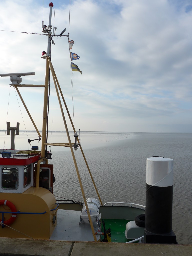 (156'802) - Die Antje im Hafen von Holwerd am 19. November 2014
