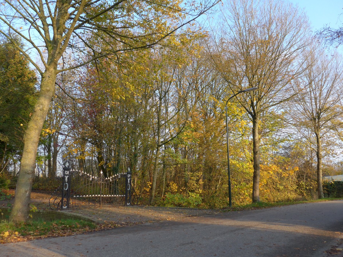 (156'875) - Schnes Eingangstor am 19. November 2014 in Vierhuizen