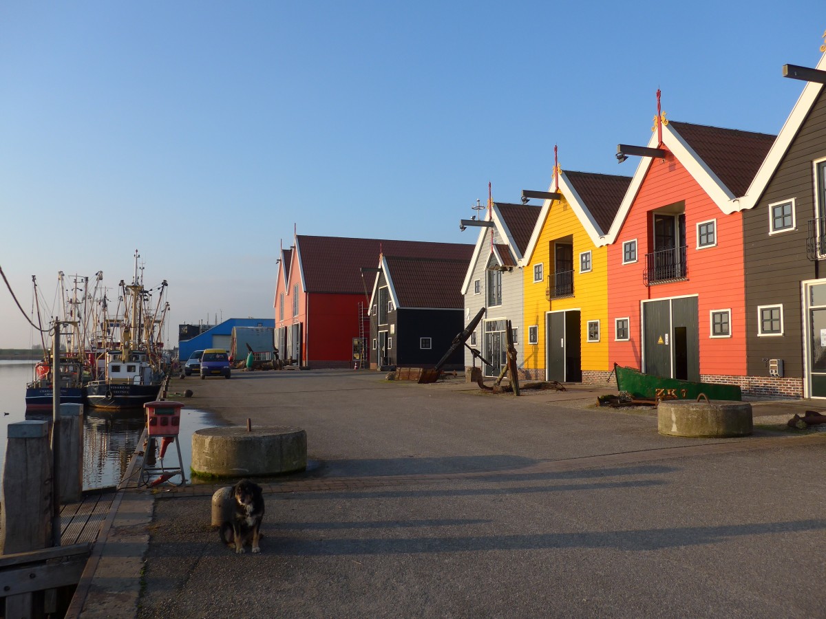(156'887) - Im Hafen von Zoutkamp am 19. November 2014