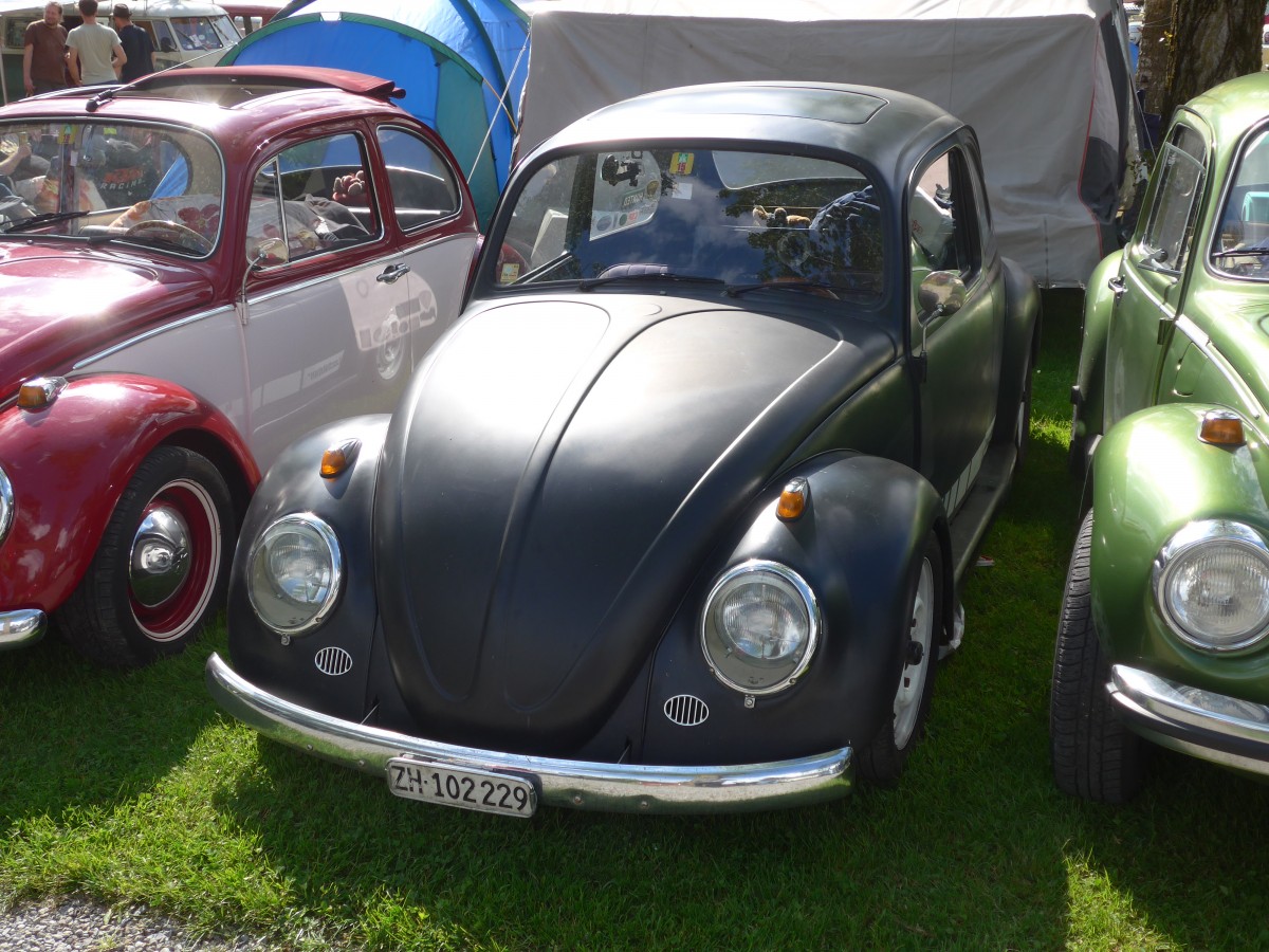 (160'324) - VW-Kfer - ZH 102'229 - am 9. Mai 2015 in Brienz, Camping Aaregg