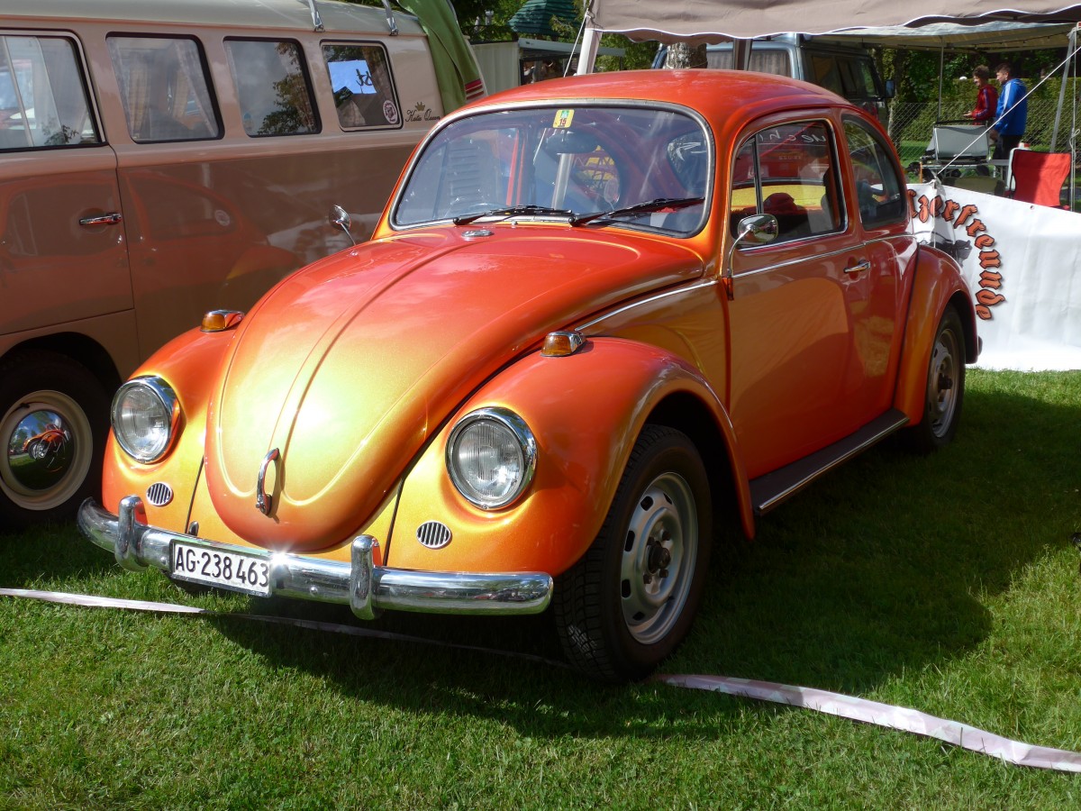 (160'327) - VW-Kfer - AG 238'463 - am 9. Mai 2014 in Brienz, Camping Aaregg