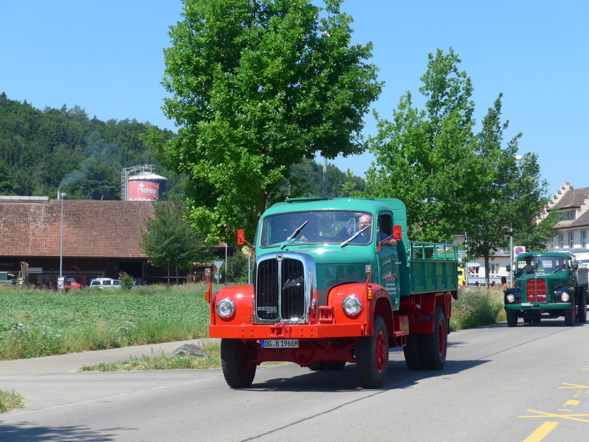 (161'847) - Wildt, Ettenheim - OG-B 1966H - Berna am 6. Juni 2015 in Thayngen, Saurertreffen