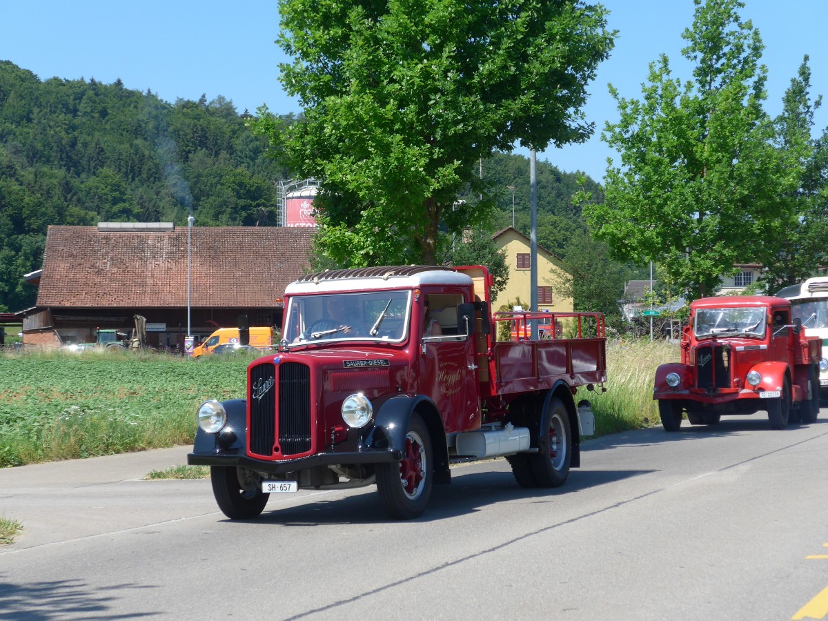 (161'865) - Heggli, Schaffhausen - SH 657 - Saurer am 6. Juni 2015 in Thayngen, Saurertreffen