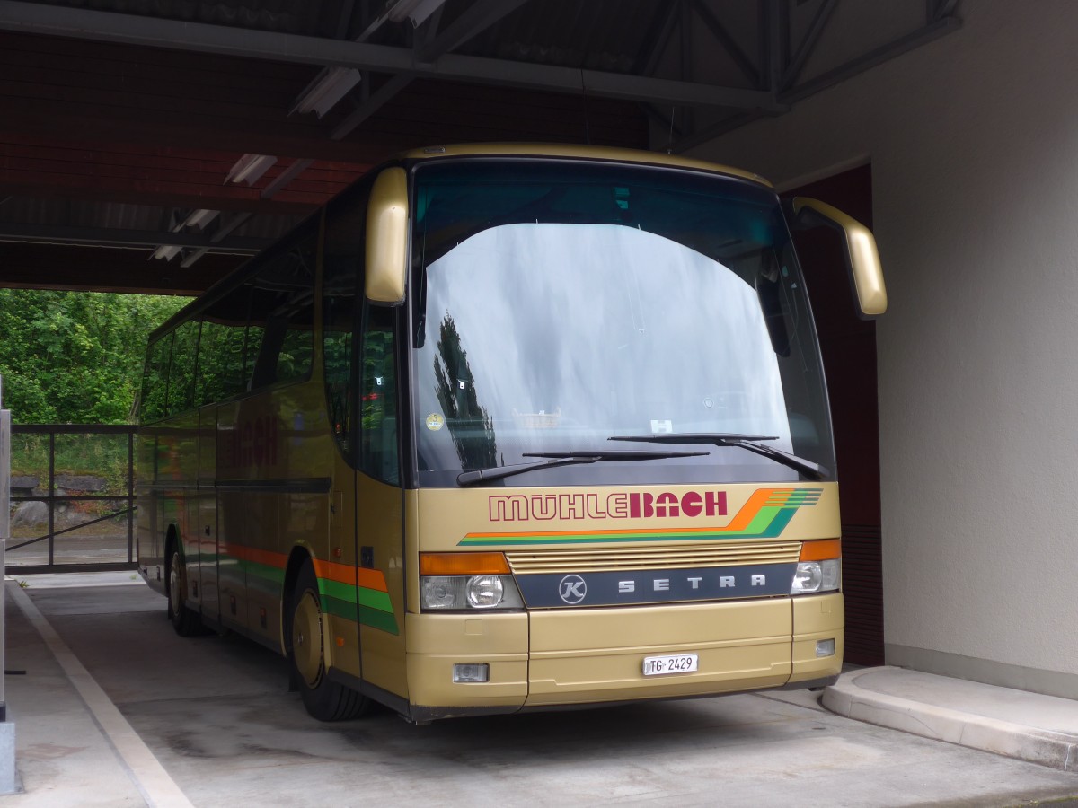 (162'448) - Mhlebach, Frauenfeld - TG 2429 - Setra am 21. Juni 2015 in Meiringen, Balm