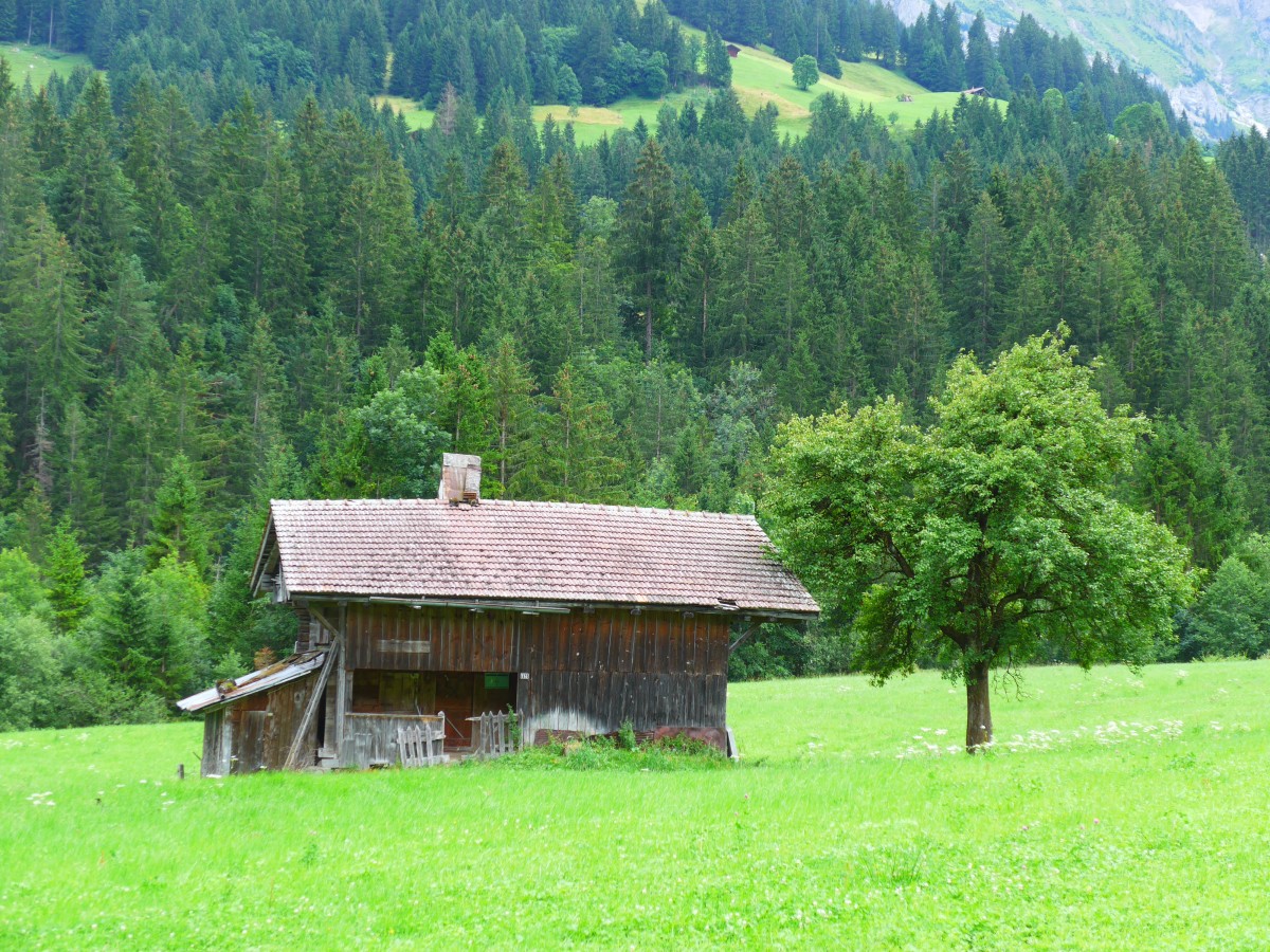 (163'168) - Altes Huschen am 26. Juli 2015 in Adelboden, Neuweg