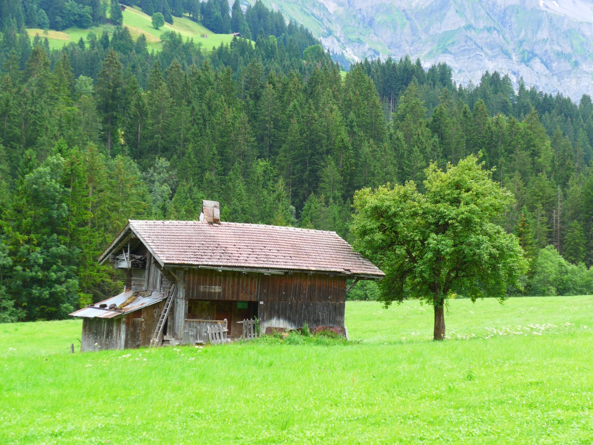 (163'169) - Altes Huschen am 26. Juli 2015 in Adelboden, Neuweg