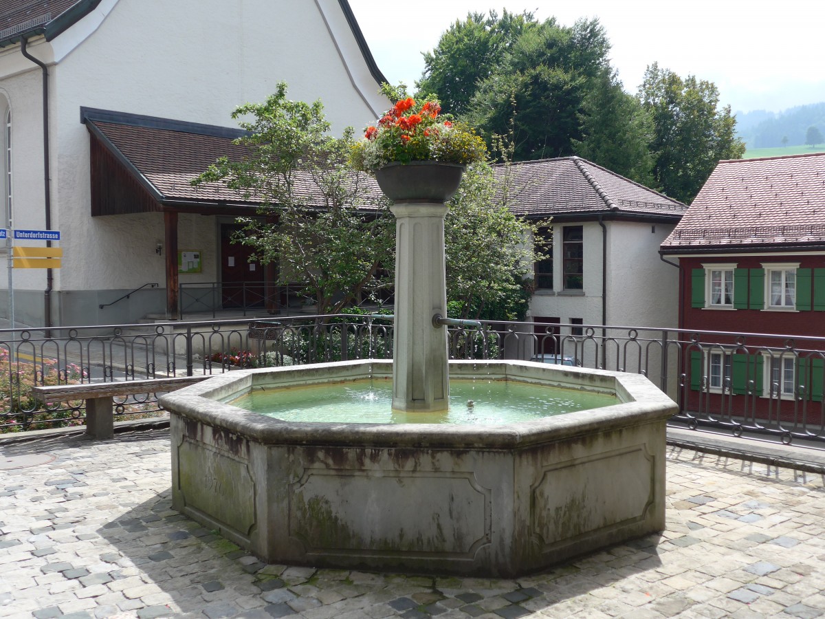 (163'226) - Dorfbrunnen am 2. August 2015 in Urnsch