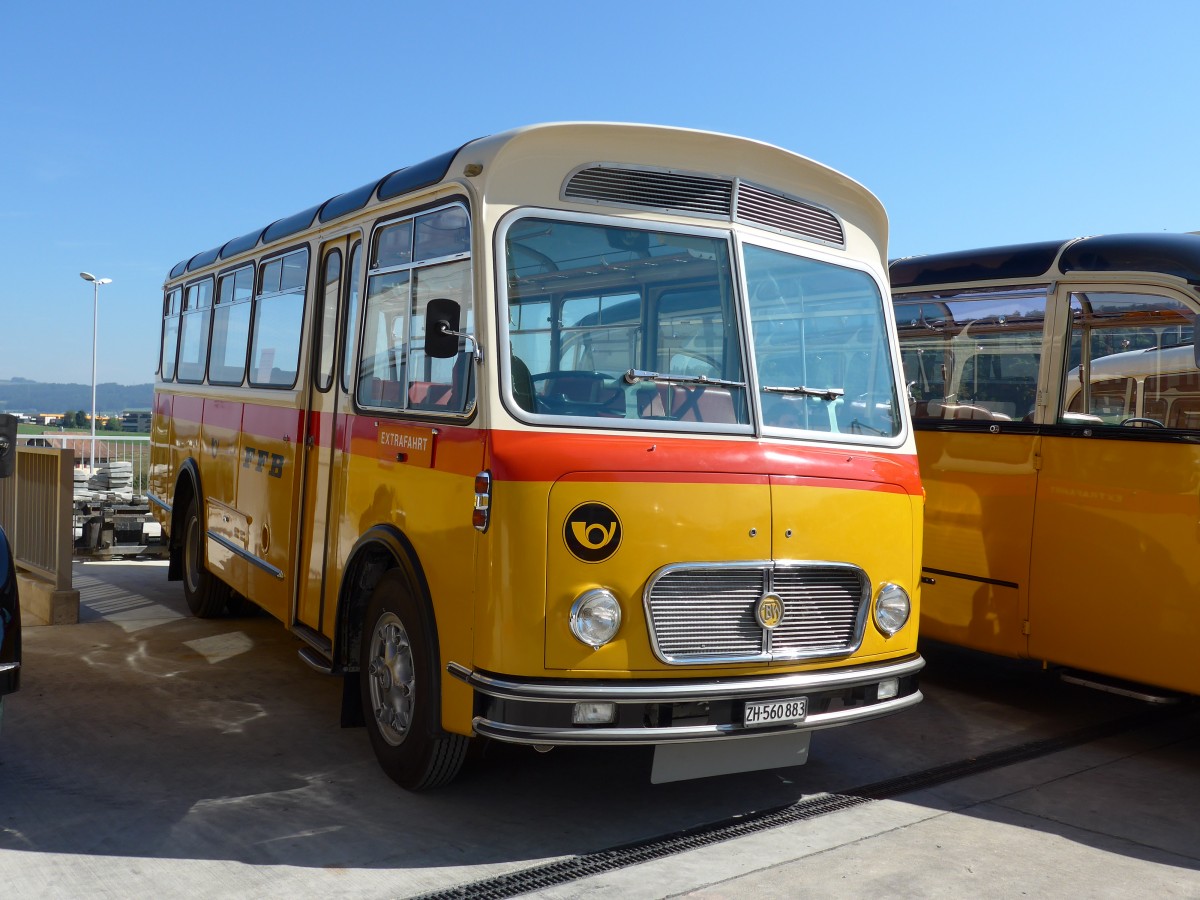 (163'929) - Frutig, Birmensdorf - ZH 560'883 - FBW/FHS (ex P 23'217) am 29. August 2015 in Oberkirch, CAMPUS Sursee