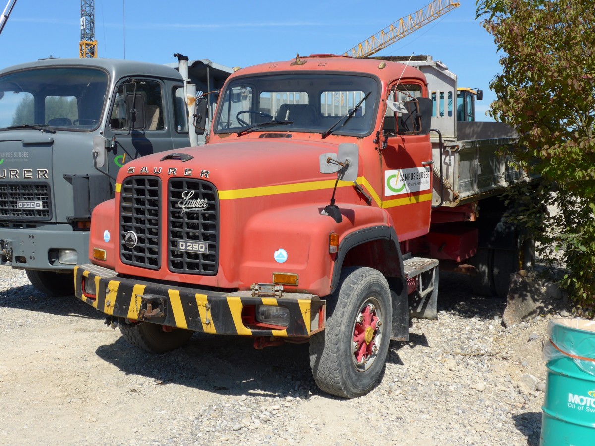 (163'993) - Campus Sursee, Oberkirch - Saurer am 29. August 2015 in Oberkirch, CAMPUS Sursee