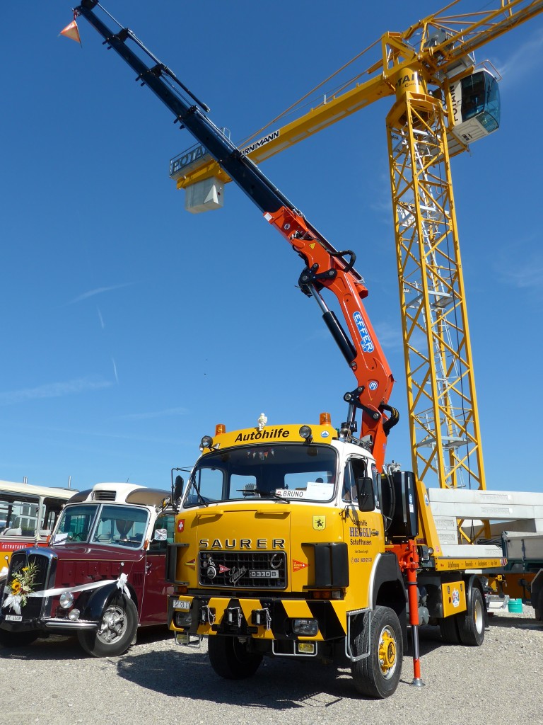 (164'004) - Heggli, Schaffhausen - SH 93 U - Saurer am 29. August 2015 in Oberkirch, CAMPUS Sursee