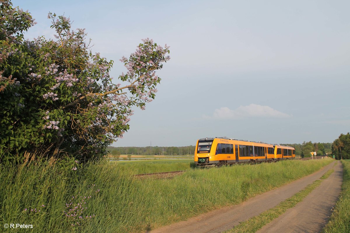 1642 704 + xxx als OPB79742 Regensburg - Marktredwitz bei Oberteich. 27.05.16