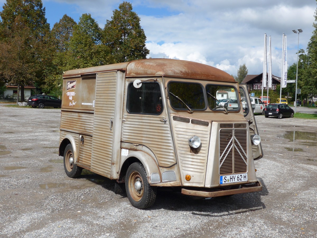 (165'460) - Citron - S-HY 62H - am 20. September 2015 in Thun, Lachenwiese